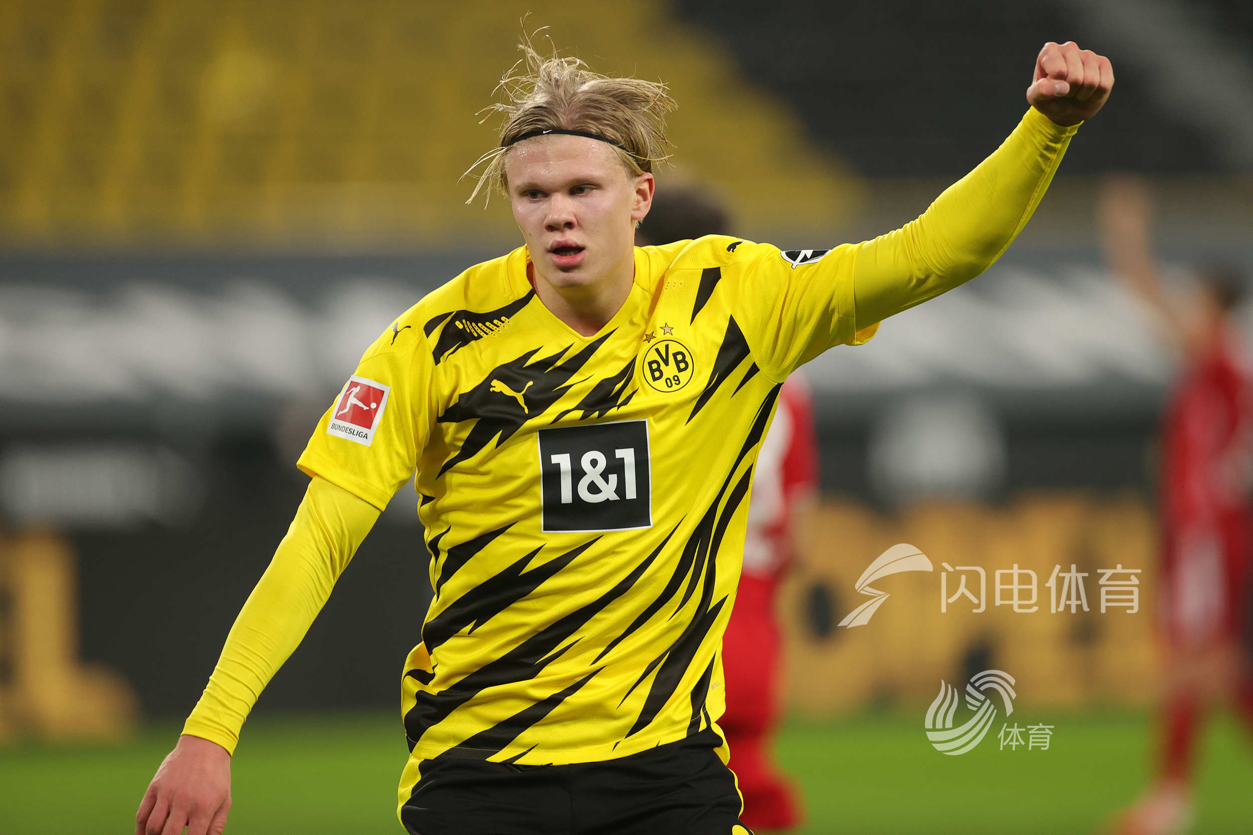 博彩运营商赞助野生动物保护